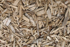 biomass boilers Crumlin
